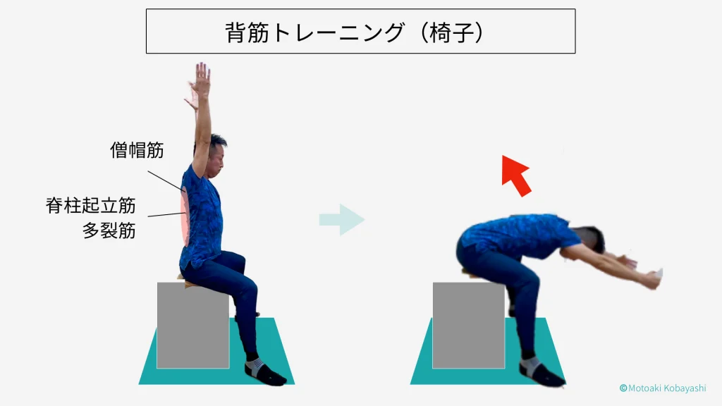 背筋トレーニング　姿勢改善